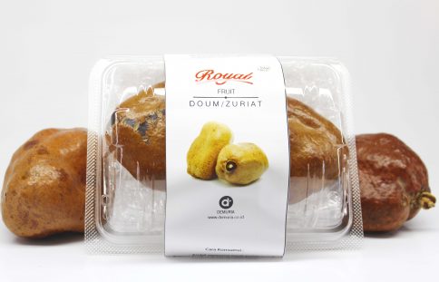 Sepasang Buah Zuriat