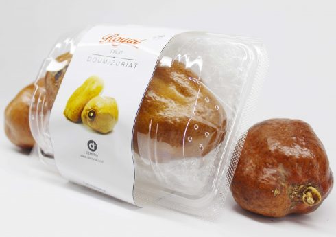 Sepasang Buah Zuriat