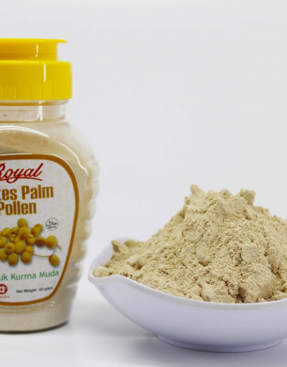 Serbuk Kurma Muda 60 gram
